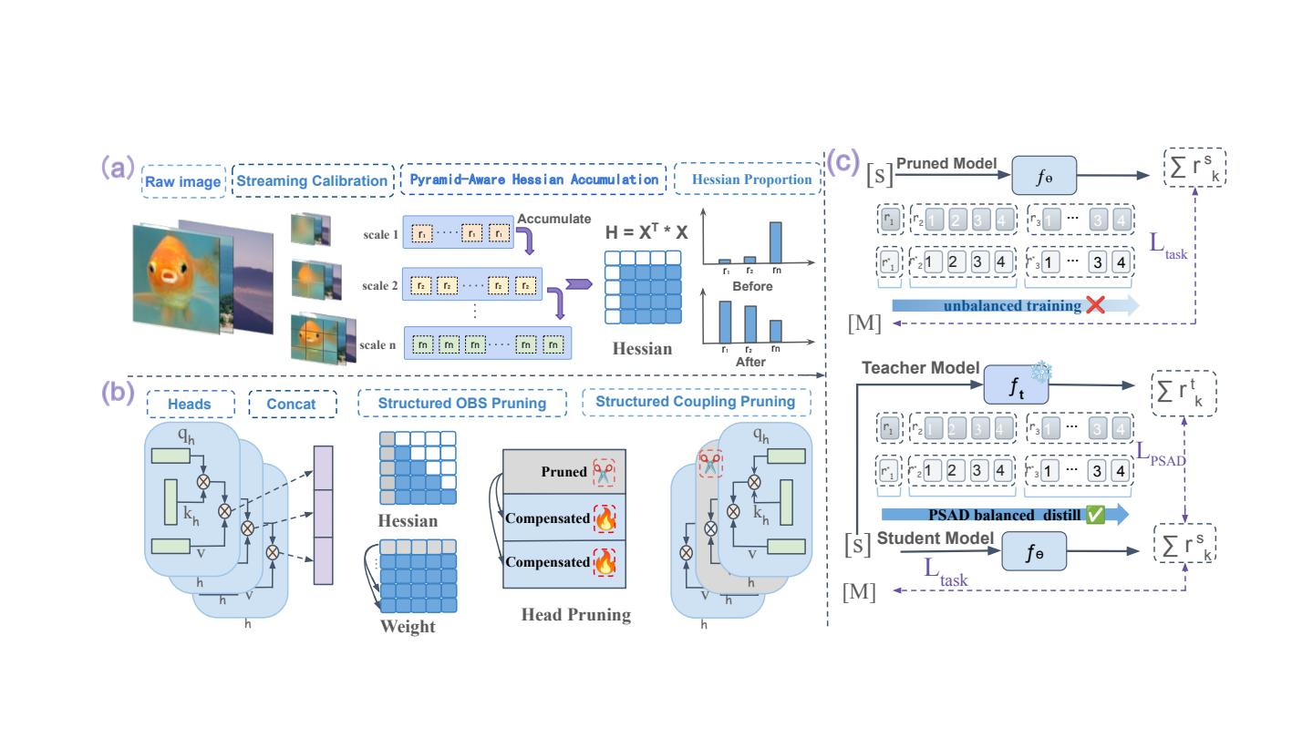 EVAR Framework